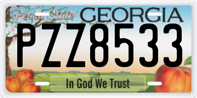 GA license plate PZZ8533