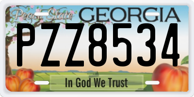 GA license plate PZZ8534