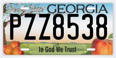 GA license plate PZZ8538