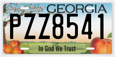 GA license plate PZZ8541