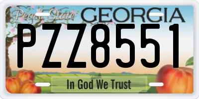GA license plate PZZ8551