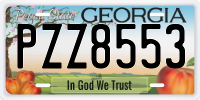 GA license plate PZZ8553