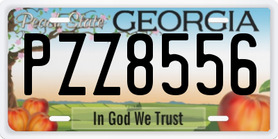GA license plate PZZ8556