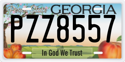 GA license plate PZZ8557