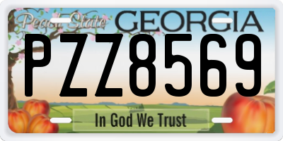 GA license plate PZZ8569
