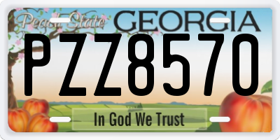 GA license plate PZZ8570