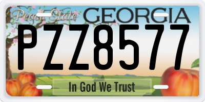 GA license plate PZZ8577