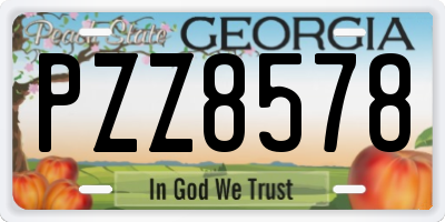GA license plate PZZ8578