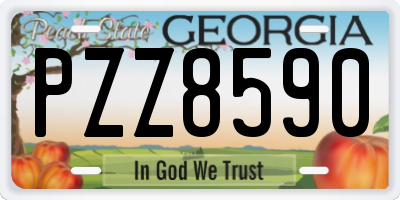 GA license plate PZZ8590