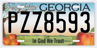 GA license plate PZZ8593