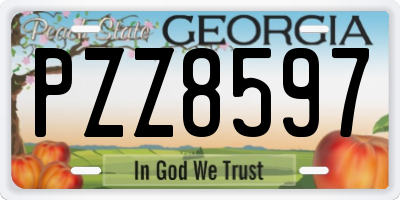 GA license plate PZZ8597