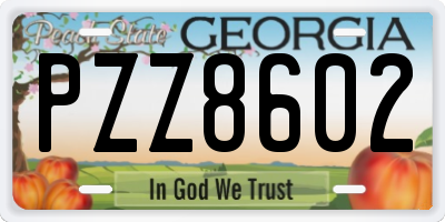 GA license plate PZZ8602