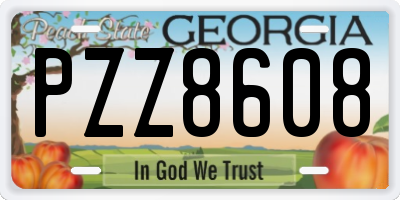 GA license plate PZZ8608