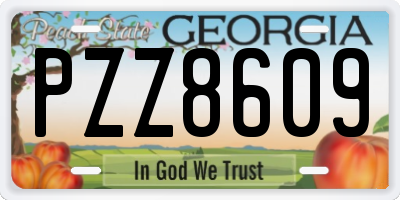 GA license plate PZZ8609