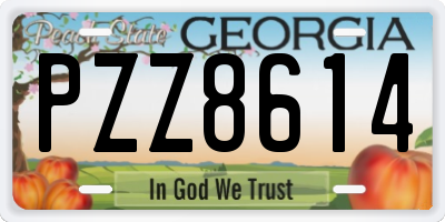 GA license plate PZZ8614