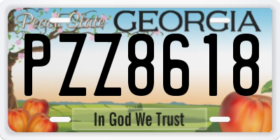 GA license plate PZZ8618