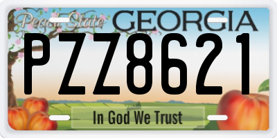GA license plate PZZ8621