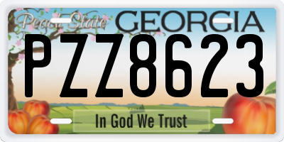 GA license plate PZZ8623