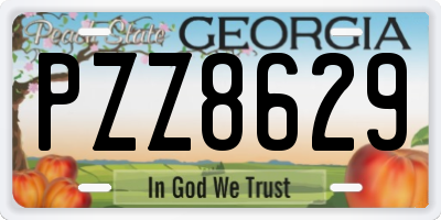 GA license plate PZZ8629