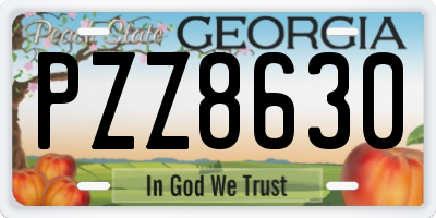 GA license plate PZZ8630