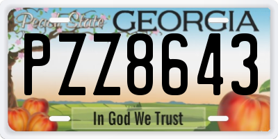 GA license plate PZZ8643