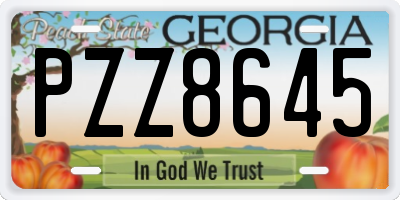 GA license plate PZZ8645