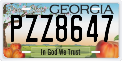 GA license plate PZZ8647