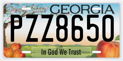 GA license plate PZZ8650