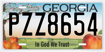 GA license plate PZZ8654