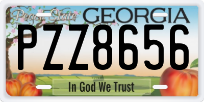 GA license plate PZZ8656