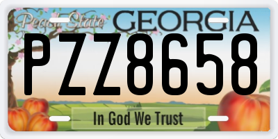 GA license plate PZZ8658