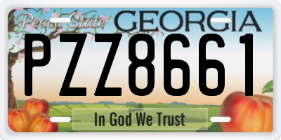 GA license plate PZZ8661