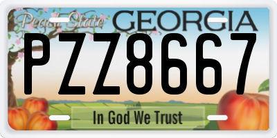GA license plate PZZ8667
