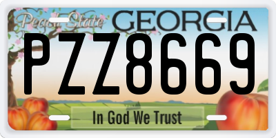 GA license plate PZZ8669