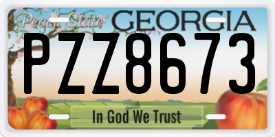 GA license plate PZZ8673