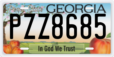 GA license plate PZZ8685