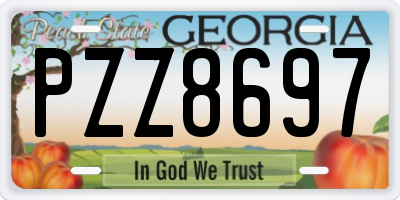 GA license plate PZZ8697
