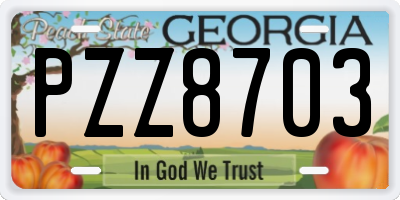 GA license plate PZZ8703
