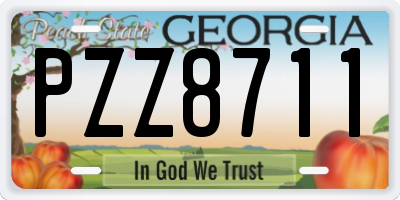 GA license plate PZZ8711