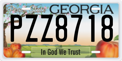 GA license plate PZZ8718