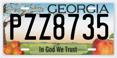 GA license plate PZZ8735