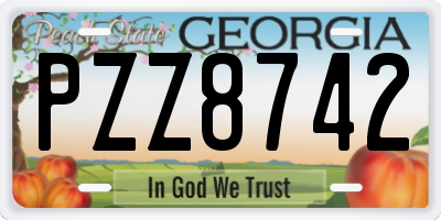 GA license plate PZZ8742