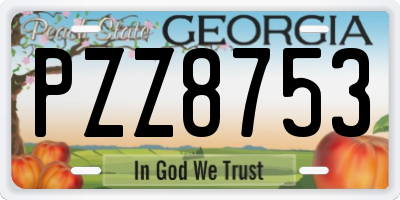 GA license plate PZZ8753