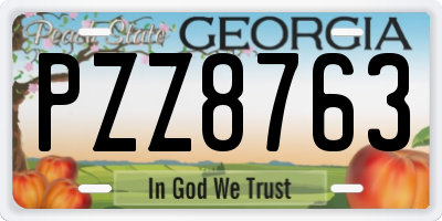 GA license plate PZZ8763
