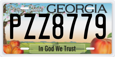 GA license plate PZZ8779