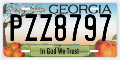GA license plate PZZ8797