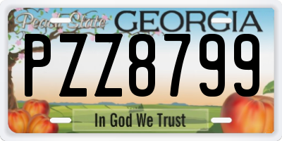 GA license plate PZZ8799