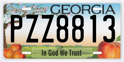 GA license plate PZZ8813