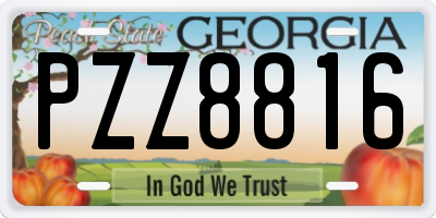 GA license plate PZZ8816