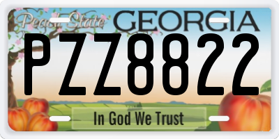 GA license plate PZZ8822